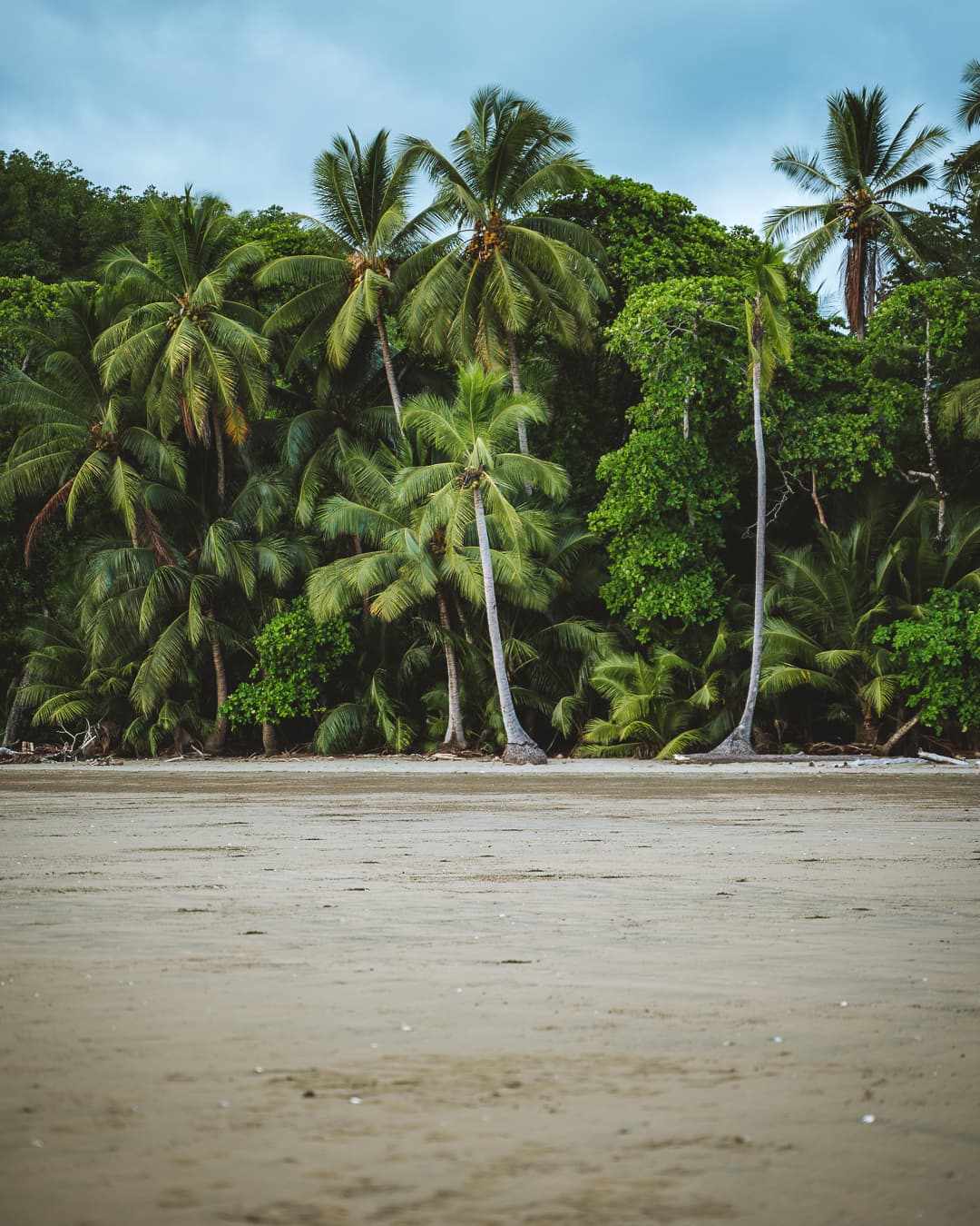 7 Best Things to Do in Uvita, Costa Rica Hungariandreamers