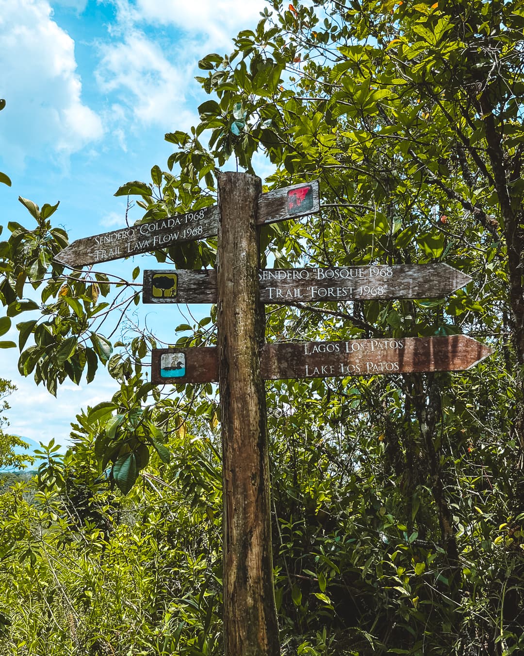 Arenal 1968 Trail: How to Hike Arenal Volcano - Hungariandreamers