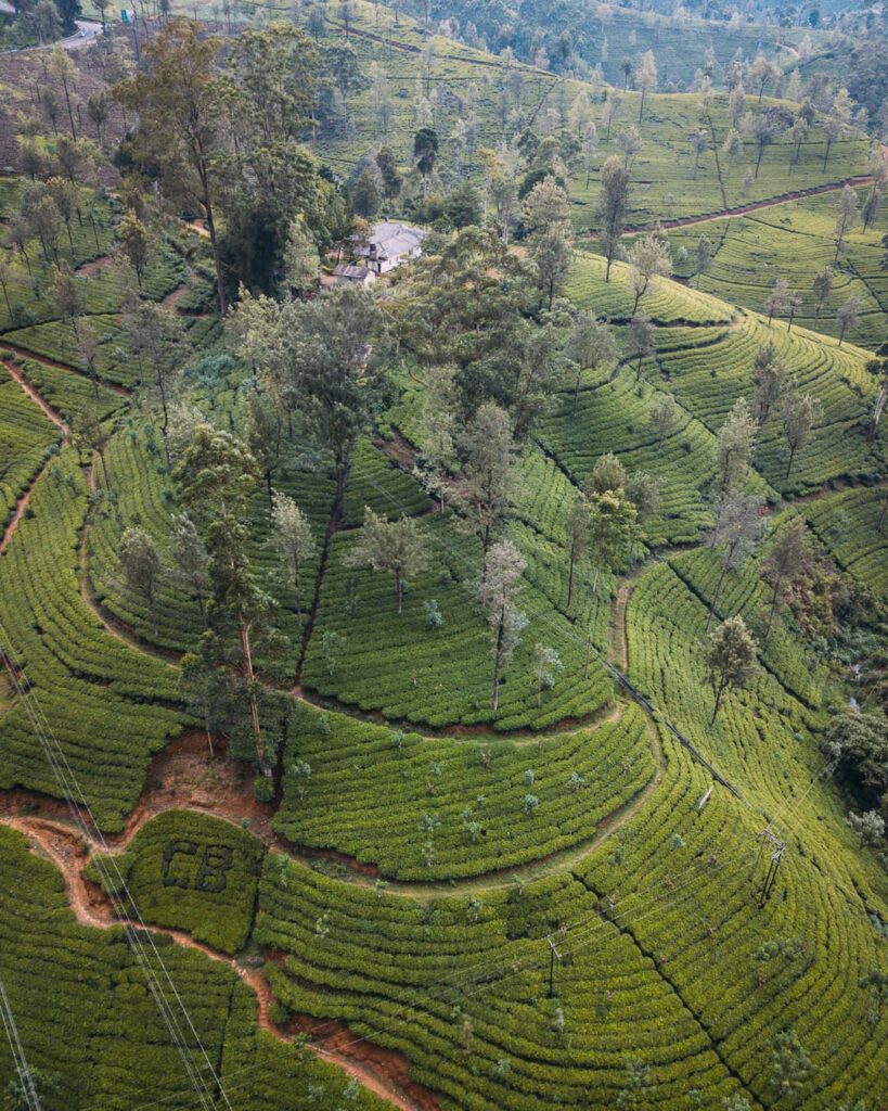 Best Ways: How to Get from Colombo to Nuwara Eliya
