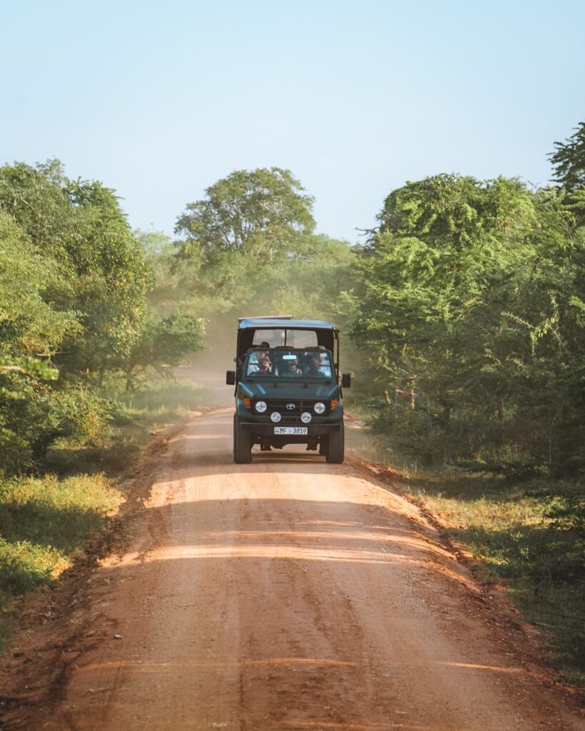Yala National Park jeep tour