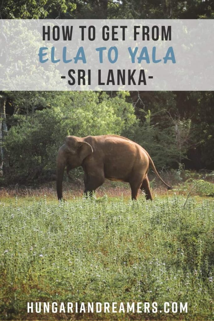 Ella to Yala National Park