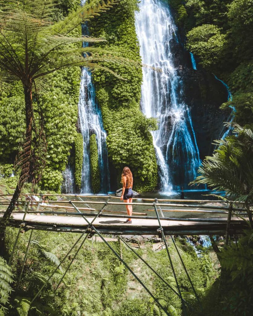 Banyumala Twin Waterfalls Bali