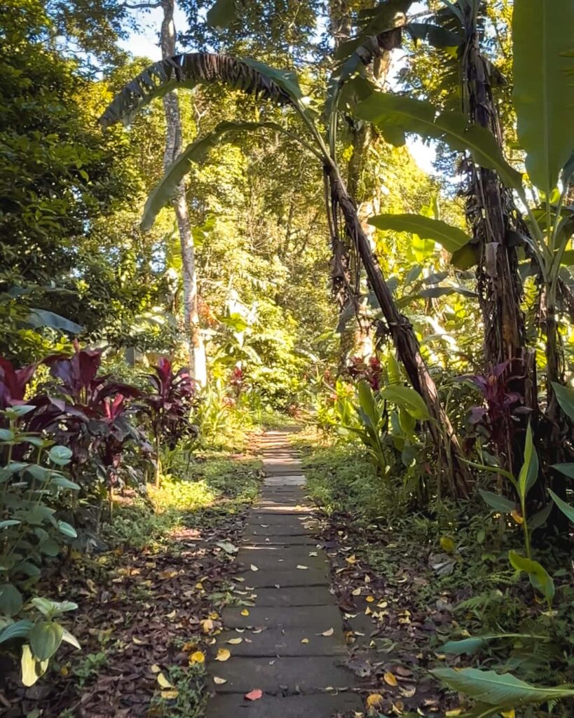 Banyu Wana Amertha Waterfall Trail