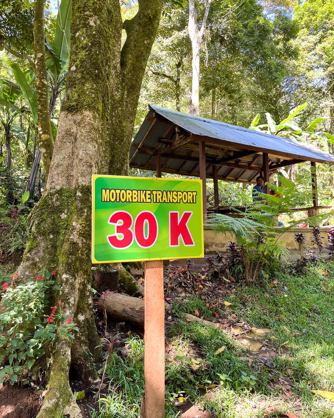 How to Visit Banyu Wana Amertha Waterfall in Bali Hungariandreamers